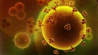 Генотипирование гепатита С – новая услуга для пациентов Кировского СПИД-центра.